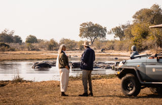 Wilderness Savuti