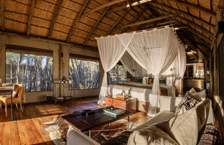 Wilderness Savuti