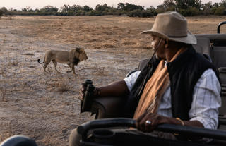 Wilderness Savuti