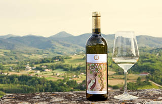 Gavi wine