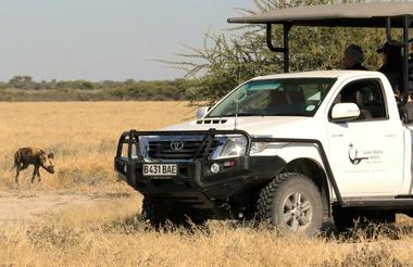Day Trips to Moremi Game Reserve