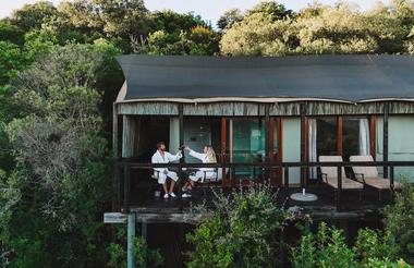 Camp Fig Tree - Tent 2
