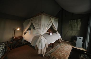 Camp Fig Tree Accommodation