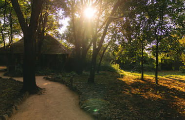 Jock Safari Lodge | Main Jock