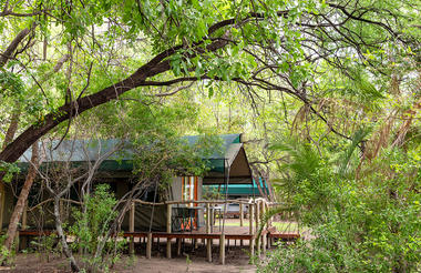Ndhovu Safari Lodge - Safari Tent