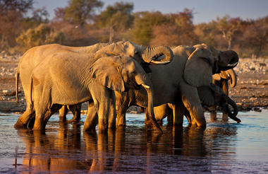 Mokuti Etosha Lodge