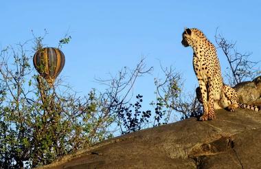 Stunning Views - Balloon Safari