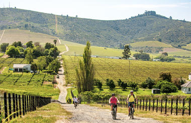 Bikes 'n Wines Half Day Stellenbosch Tour 1