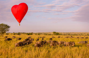The Love Balloon