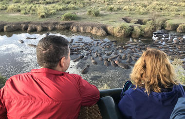 Balloon over the Hippo pool