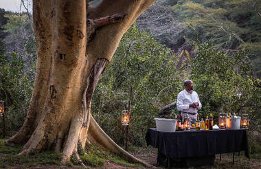 Bush dinner