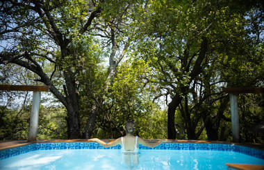 Plunge Pool