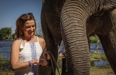 Elephant Interaction