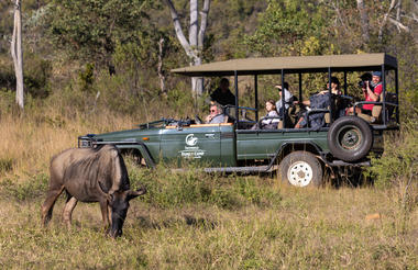 Game Drives