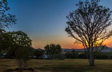 Garden Sunset