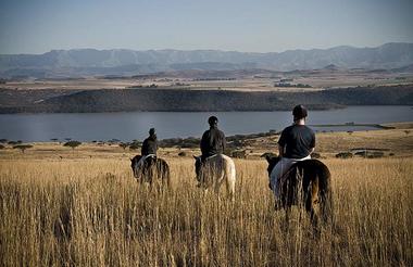 Horse Trail riding