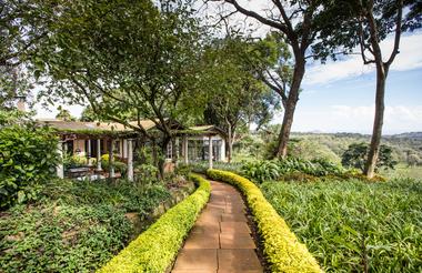 Pathway to the dining room