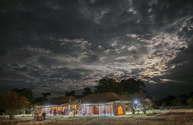 Acacia Migration Camp