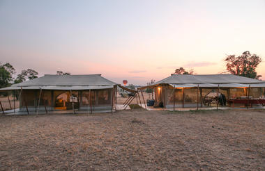 Serengeti Acacia Camps Migration