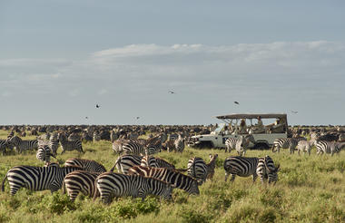Sanctuary Kusini Game Drive
