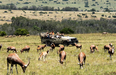 Game viewing at Lalibela Game Reserve