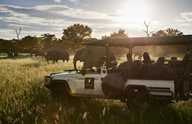 Game Drive