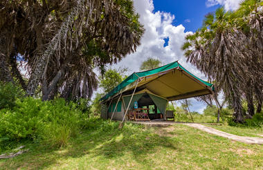 Tent