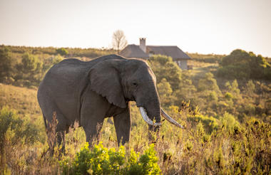 Kwena Lodge Villa