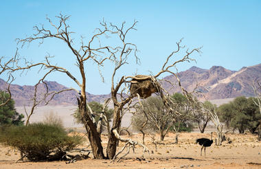 Wilderness Kulala Desert Lodge