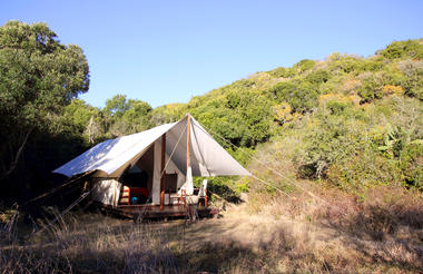 Quatermain's 1920's Safari Camp