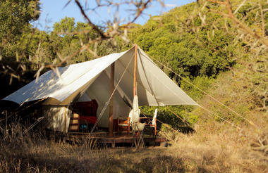 Quatermain's 1920's Safari Camp