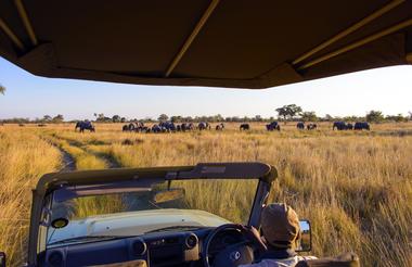 Namushasha River Lodge