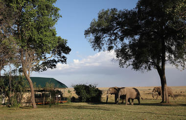 Governors' Camp