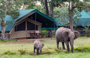 Little Governors' Camp