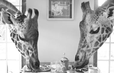 Giraffe Manor
