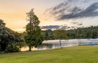 Lake view