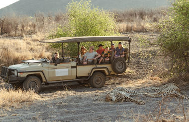 Cheetah sighting on a game drive