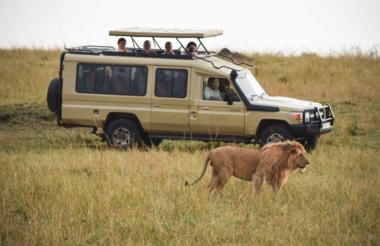 Great Wildebeest Migration