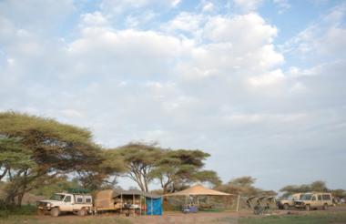 Great Wildebeest Migration