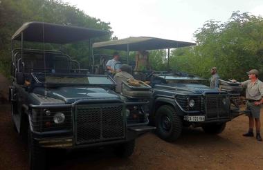 Open Safari Vehicles
