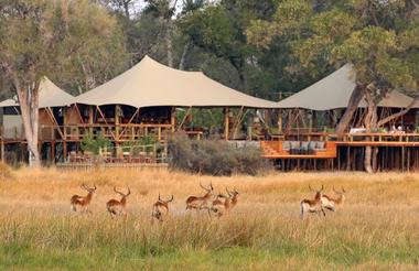 Tuludi Camp - Khwai Private Reserve Okavango Delta