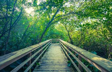 https://www.facebook.com/everglades.safari.park/photos/a.406010369420003/1607987182555643/?type=3&theater