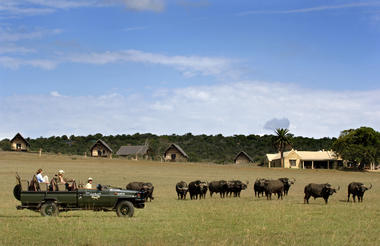 Game Drive