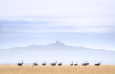 Game drives on Mugie