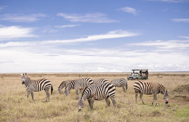 Game drives on Mugie