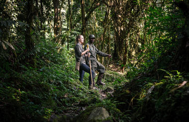Sanctuary Gorilla Forest Camp Gorilla Tracking