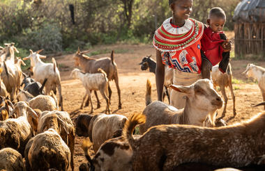 Samburu Homes
