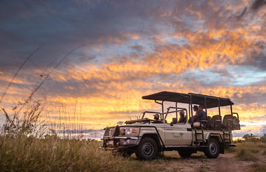 Sunset Game Drives