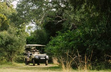 Game Drive