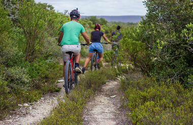 Mountain Biking